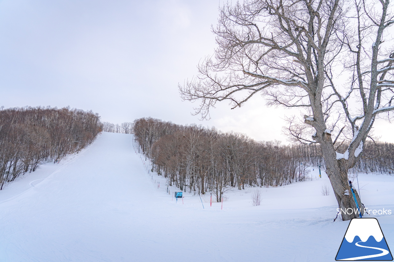 オホーツク・ローカルスキー場巡り。｜晴天粉雪の『佐呂間町営スキー場』から流氷を望む『湧別町五鹿山スキー場』へ！